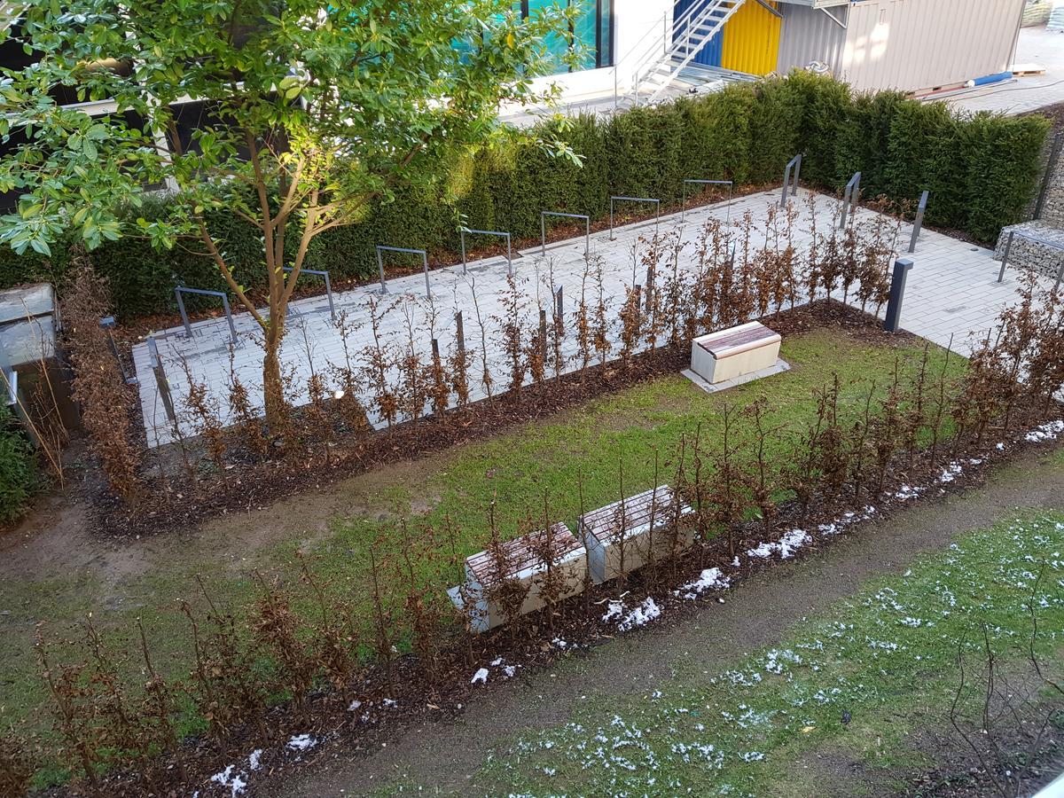 Cityapartments Duesseldorf City 外观 照片